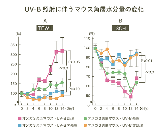 UV-B 照射に伴うマウス角層水分量の変化