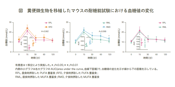 糞便微生物を移植したマウスの耐糖能試験における血糖値の変化